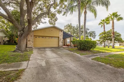 3940 Kestrel St, Palm Harbor, FL 34683