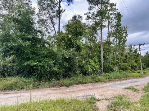 lot66 1st St, Altoona, FL 32702