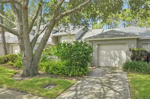 126 Steeplechase Ln, Palm Harbor, FL 34684