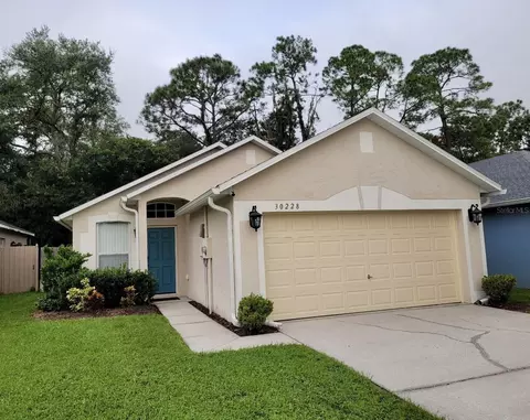 30228 Birdhouse Dr, Wesley Chapel, FL 33545
