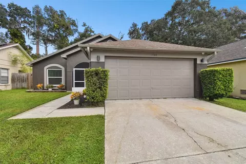 1726 Brandon Trace Ave, Brandon, FL 33510