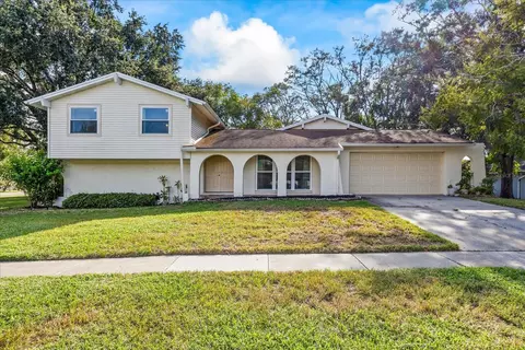 1115 Foggy Ridge Pkwy, Lutz, FL 33559