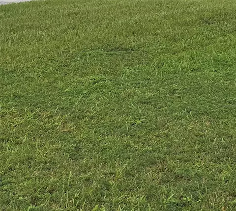 18 Th, Tampa, FL 33605