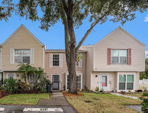 16337 Rambling Vine Dr W, Tampa, FL 33624