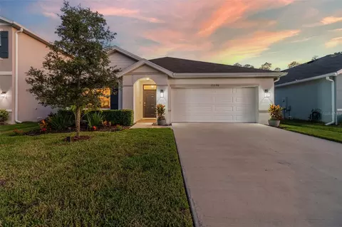 15590 Black Pepper Ln, Odessa, FL 33556