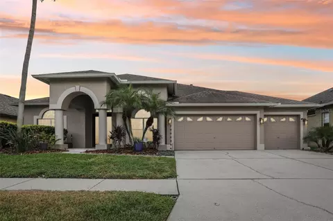 10015 Oxford Chapel Dr, Tampa, FL 33647