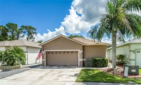 8048 Sanguinelli Rd, Land O Lakes, FL 34637