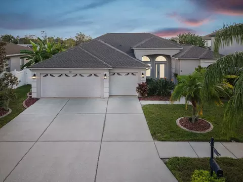 1801 Pink Guara Ct, Trinity, FL 34655