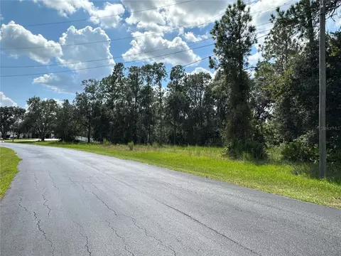 8319 Spring Forest Ln, Wesley Chapel, FL 33544