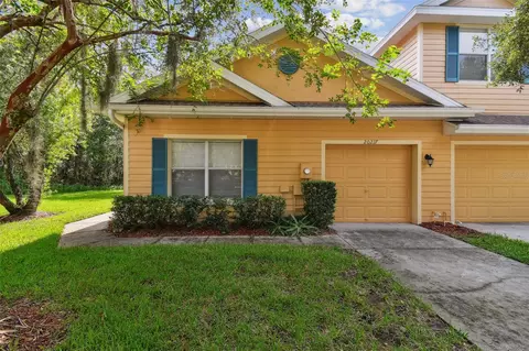 20217 Vintage Oaks Pl, Tampa, FL 33647