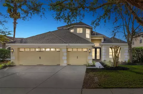 18817 Chopin Dr, Lutz, FL 33558