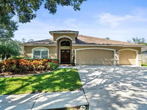 19604 Morden Blush Dr, Lutz, FL 33558