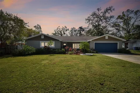 18845 Tracer Dr, Lutz, FL 33549
