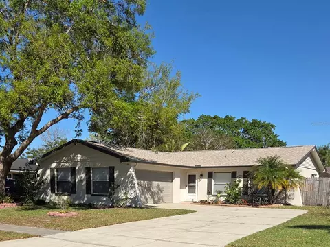 1461 Cottonwood Ter, Dunedin, FL 34698
