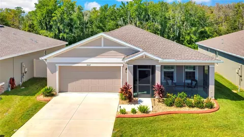 10317 Gliding Eagle Way, Land O Lakes, FL 34638