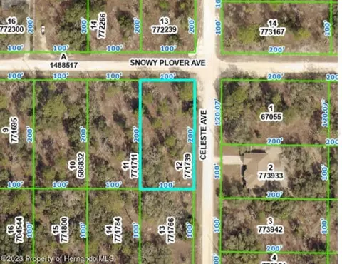 13290 Snowy Plover Ave, Weeki Wachee, FL 34614