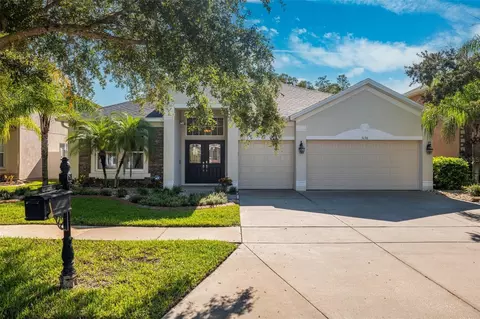 3136 Chessington Dr, Land O Lakes, FL 34638