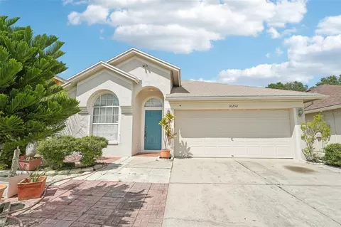 10232 Oasis Palm Dr, Tampa, FL 33615