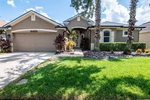 16426 Bridgewalk Dr, Lithia, FL 33547