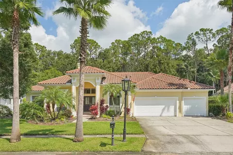 10110 Radcliffe Dr, Tampa, FL 33626