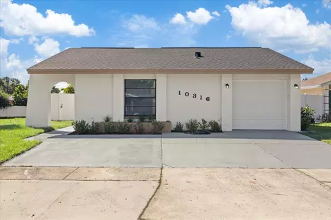 10316 Fernbrook Ln, Tampa, FL 33624