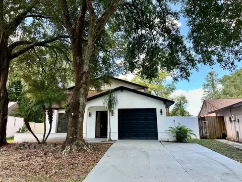 16318 Caliente Pl, Tampa, FL 33624