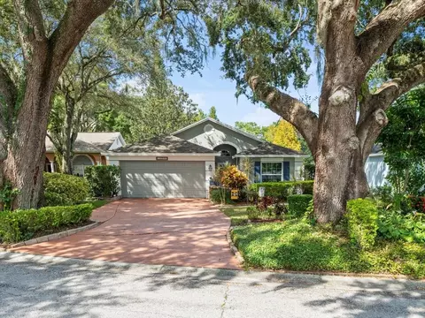 13506 Bellingham Dr, Tampa, FL 33625