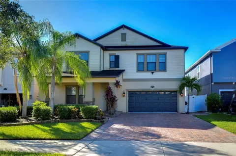 19462 Paddock View Dr, Tampa, FL 33647
