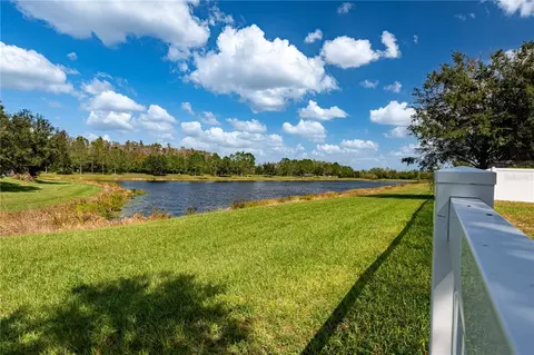 10622 Mistflower Ln, Tampa, FL 33647