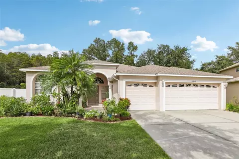 10640 Grand Riviere Dr, Tampa, FL 33647