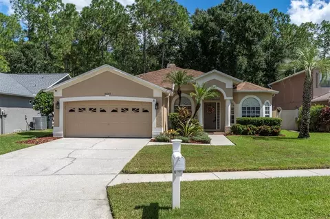 16009 Royal Aberdeen Pl, Odessa, FL 33556