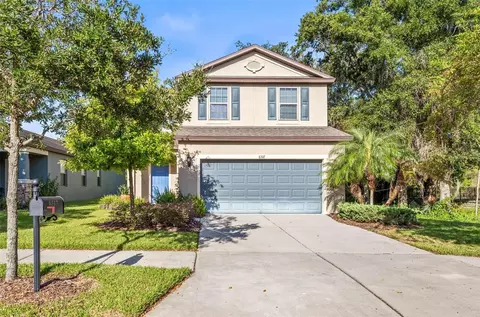 6317 Magnolia Park Blvd, Riverview, FL 33578