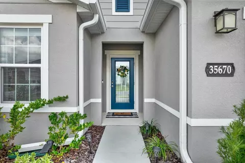 35670 Osprey Perch Ln, Zephyrhills, FL 33541