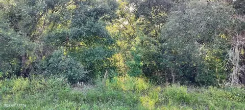5514 N Irving Park Ave, Hernando, FL 34442