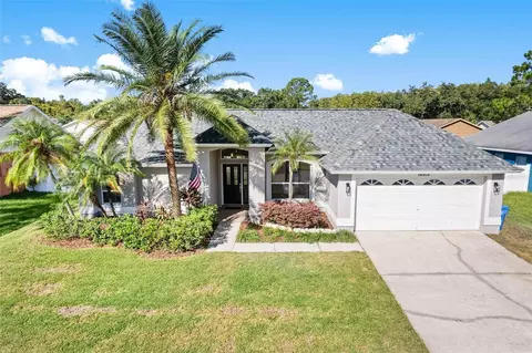 14919 Rocky Ledge Dr, Tampa, FL 33625