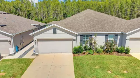 18173 Turning Leaf Cir, Land O Lakes, FL 34638