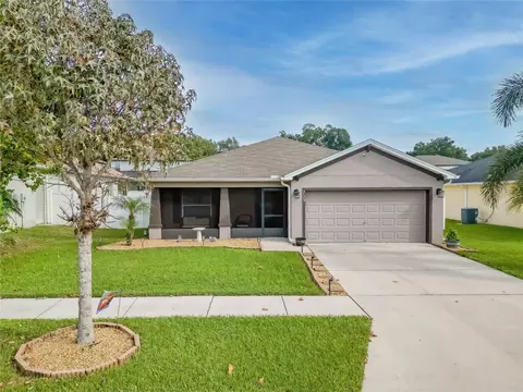 729 Vineyard Reserve Ct, Seffner, FL 33584