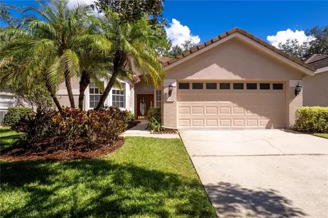 17743 Nathans Dr, Tampa, FL 33647