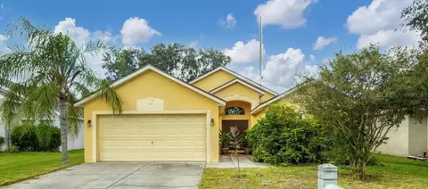 1122 Vinetree Dr, Brandon, FL 33510