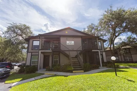 4005 Tumble Wood Trl #102, Tampa, FL 33613