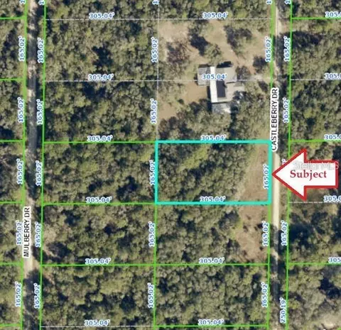 7343 Castleberry Dr, Webster, FL 33597