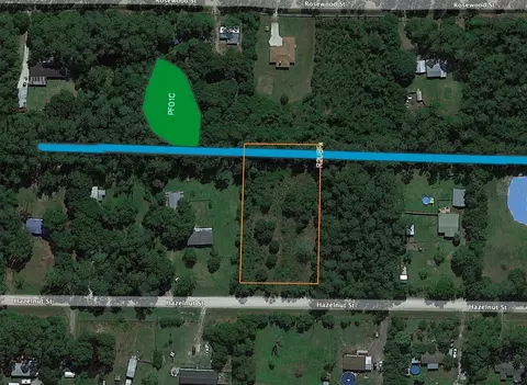 1225 Hazelnut St, Bunnell, FL 32110