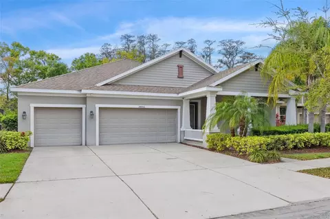 14906 Swiftwater Way, Tampa, FL 33625