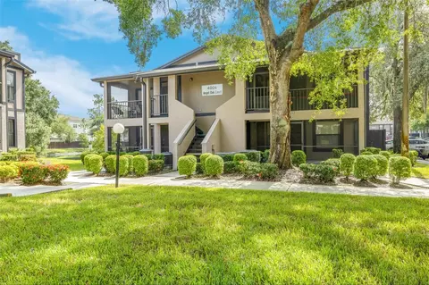 4006 Angel Oak Ct #201, Tampa, FL 33613