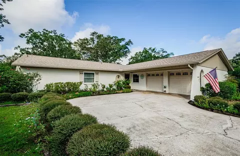 16006 Honeysuckle Pl, Tampa, FL 33624