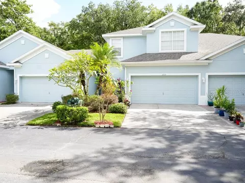 1233 Big Pine Dr, Valrico, FL 33596