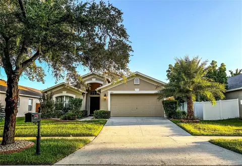 2612 Vinedale Ave, Valrico, FL 33596