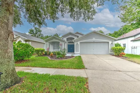 15543 Martinmeadow Dr, Lithia, FL 33547