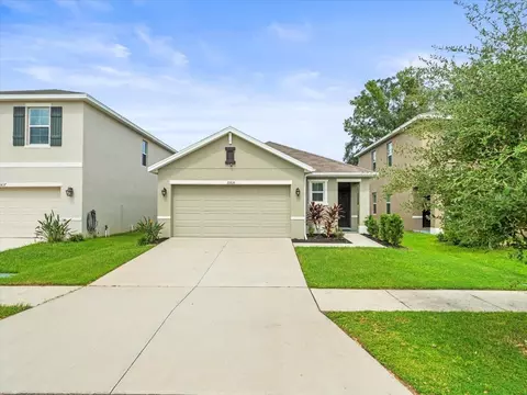 10835 Trailing Vine Dr, Tampa, FL 33610