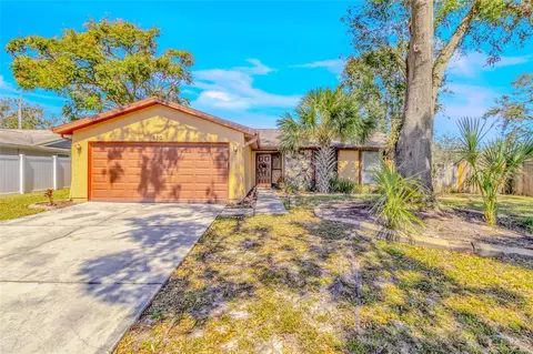 630 Cedar Grove Dr, Brandon, FL 33511